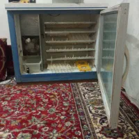 دستگاه جوجه کشی