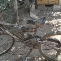 دوچرخه سایز۲۶