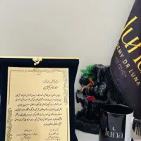 استخدام ادمین پاسخگو(کار در منزل+درآمد بالا)