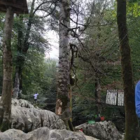 تور چالوس مازون پنج شنبه