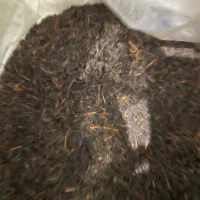 فروش چای ممتاز دست ساز لاهیجان