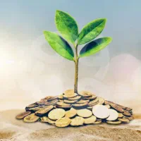 راهنمایی سرمایه گذاری