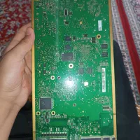 سالم برد
