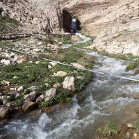 برنج لنجان درجه 1
