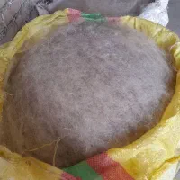 حلاجی (سومح و دیدمه )پشم والیاف