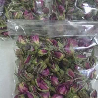 غنچه گل محمدی