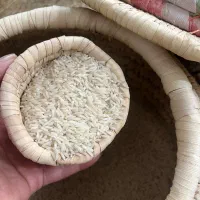 برنج هاشمی