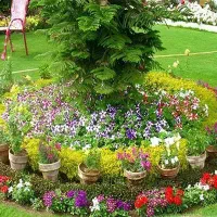 باغبانی|خدمات باغبانی و درختکاری|یزد, |دیوار