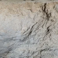 فروش کاه گندم تمیز