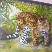 ۲۰ عدد تابلو نقاشی رنگ و روغن‌