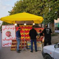 چتر سایبان