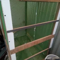 قفس انواع پرنده های زینتی