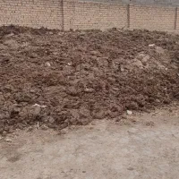 کود گاوی|خدمات باغبانی و درختکاری|شیروان (خراسان), |دیوار