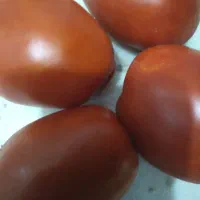 گوجه درجه یک ارگانیک وبادمجان،گ