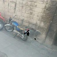 125مدل 93نقد اقساط