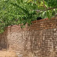 خانه قدیمی در سیه بنویه