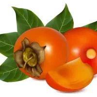 نیاز به طراح برای شیت بندی