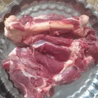 انواع گوشت گرم کشتار روز