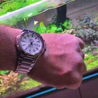 کاسیو اورجینال