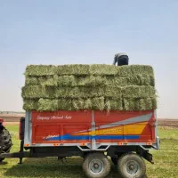 خرید نقدی و عمده یونجه پرس(بارگیری از سراسر کشور)