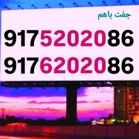 خطوط جفتی کمیاب