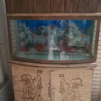 آکواریوم
