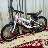 دوچرخه سایز بیست دنده ای