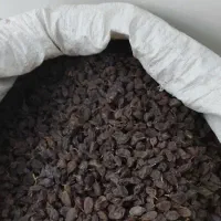 کشمش مویز بونات کلستون .آفتابی بش گوشتی شهد شیرینی