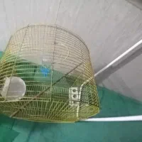 قفس پرنده قفس