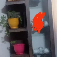 گنجه