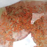 ماهی عید|ماهی|قم, ولیعصر|دیوار