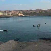 ورق استخر ژئوممبران
