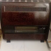 بخاری ادنیس