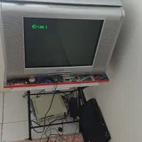 تلویزیون