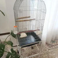 قفس سایز بزرگ همراه با پایه و لوازم