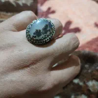 شجر قائن