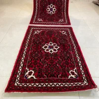 جفت زرونیم ازندریان نوواکبند