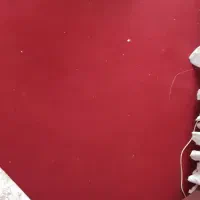 موکت