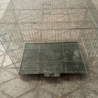 قفس|لوازم جانبی حیوانات|خمین, |دیوار