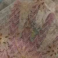 پارچه مجلسی
