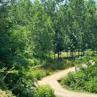 4380 متر زمین مناسب سرمایه گذاری