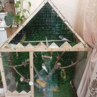 قفس پرنده زینتی