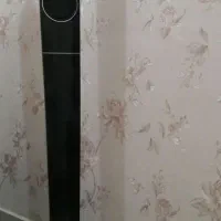 باند