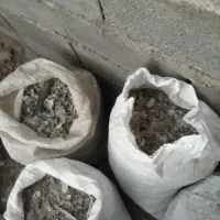 کود کفتر کبوتر