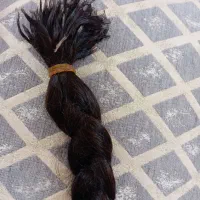 نصف قیمت