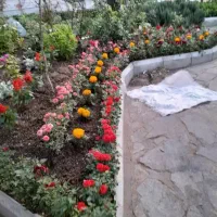 خدمات باغبانی گل کاری باغچه کاری تعویض خاک گلدون