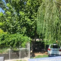 باغ 2900متر ۱۲۰ متر بنا در بیضا