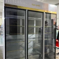 یخچال شاندیزسرما