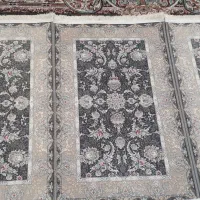 پادری رنگ طوسی