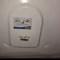 باک وانت پیکان